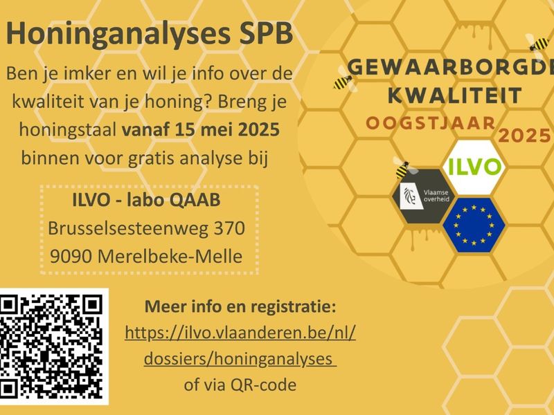Honinganalyse